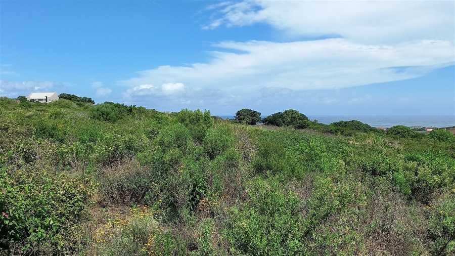 0 Bedroom Property for Sale in Forest Downs Eastern Cape